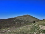 Гора Безумная в Кабардинке, Геленджик. Фото, видео, виртуальный тур, отзывы на сайте: gelendgik.navse360.ru